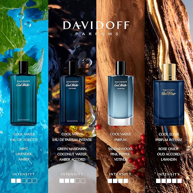 Davidoff Cool Water Perfume for Men Eau De Parfum 100ML